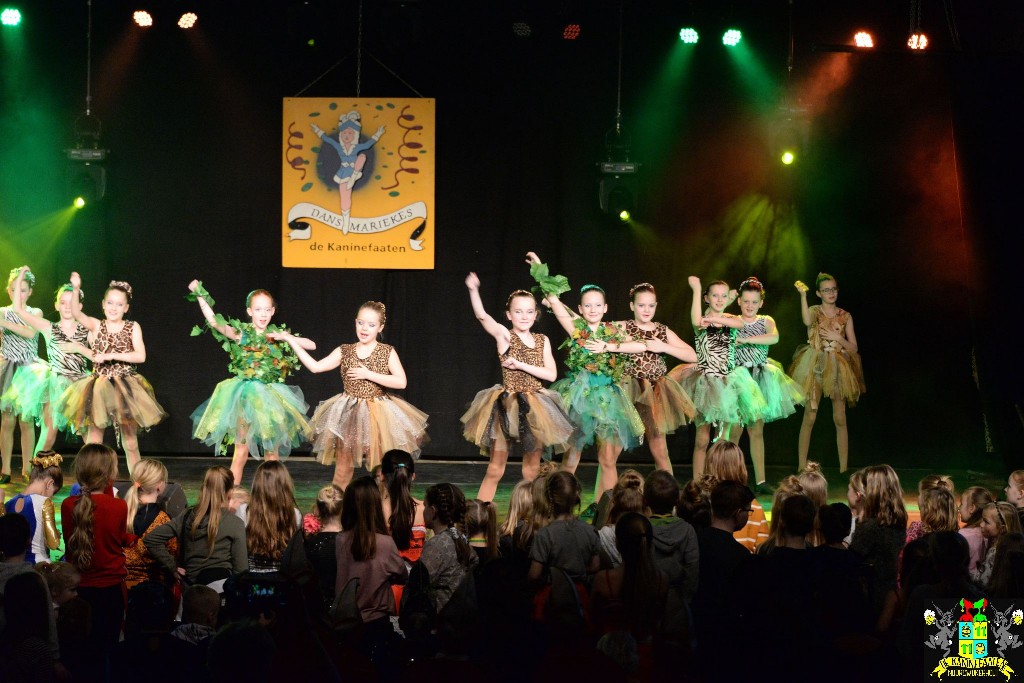 ../Images/Dansmariekefestival 2020 329.jpg